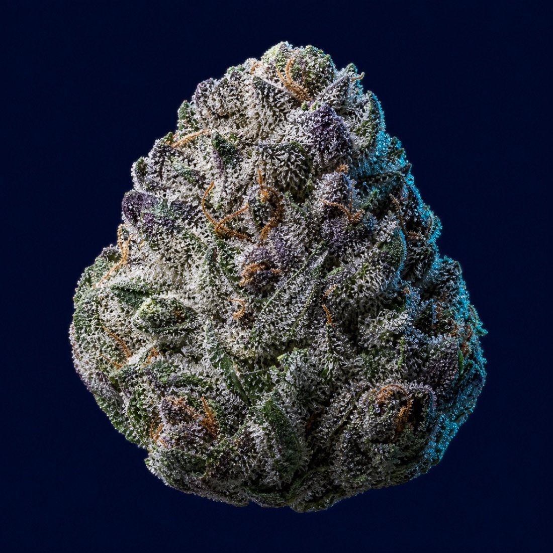 Cannabisblüten 10/8, Makroaufnahme